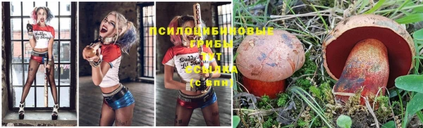 трава Богданович